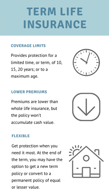 Infographic for the basics of term life insurance; from North Carolina's Hunt Insurance of Raleigh.