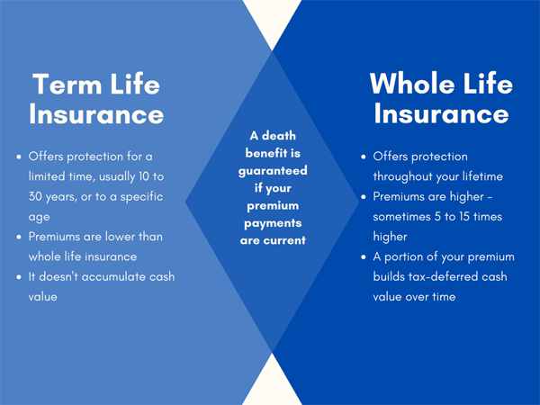 Infograph to highlight the differences between term and whole life insurance; from Hunt Insurance of Raleigh